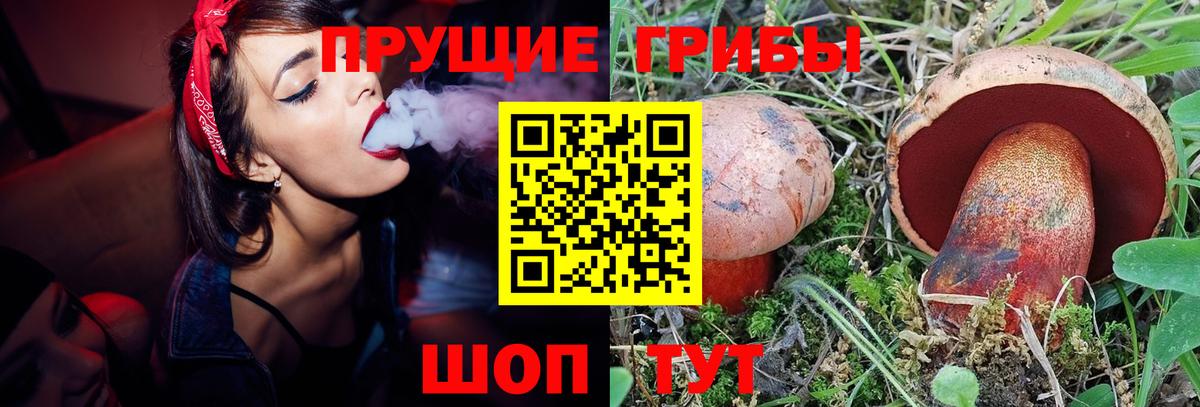 Псилоцибиновые грибы GOLDEN TEACHER  Вход с VPN  Псилоцибиновые грибы прущие грибы  Курск 
