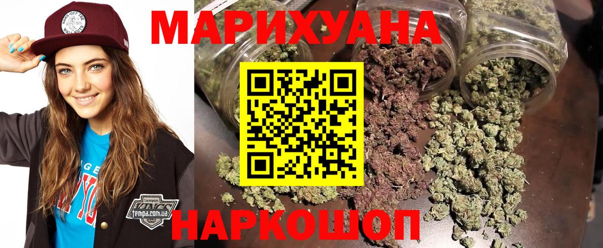 Каннабис сатива Курск